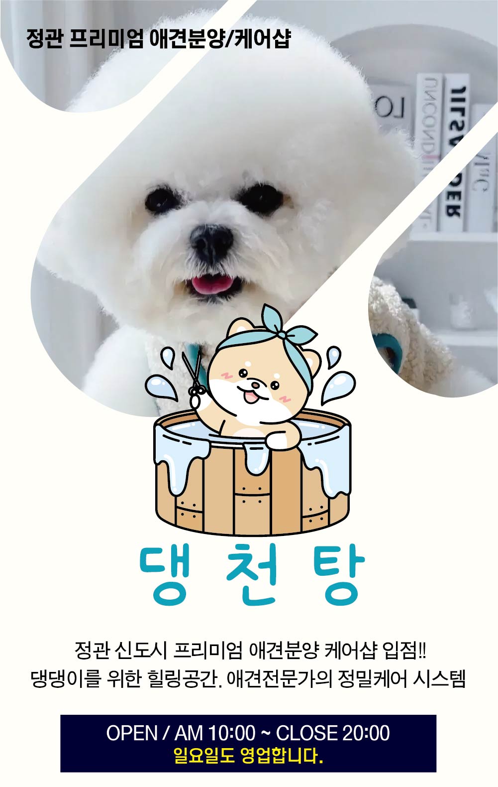 정관애견분양,정관애견미용